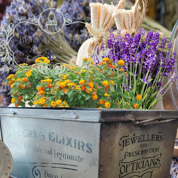 Vintage Metal Box ~ Restyled! - Picture 1 of 6